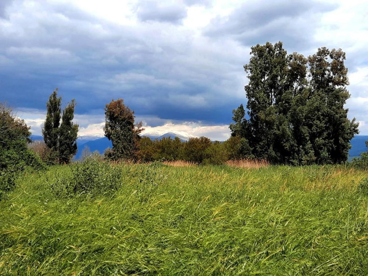 בית קסום בשדה נחמיה Villa Bagian luar foto